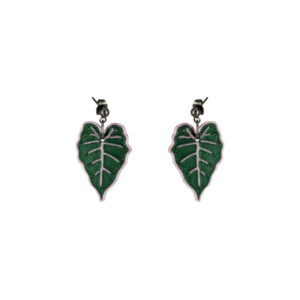 Alocasia