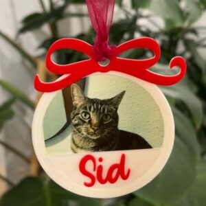 Bolas de Navidad Personalizadas con Foto y Nombre