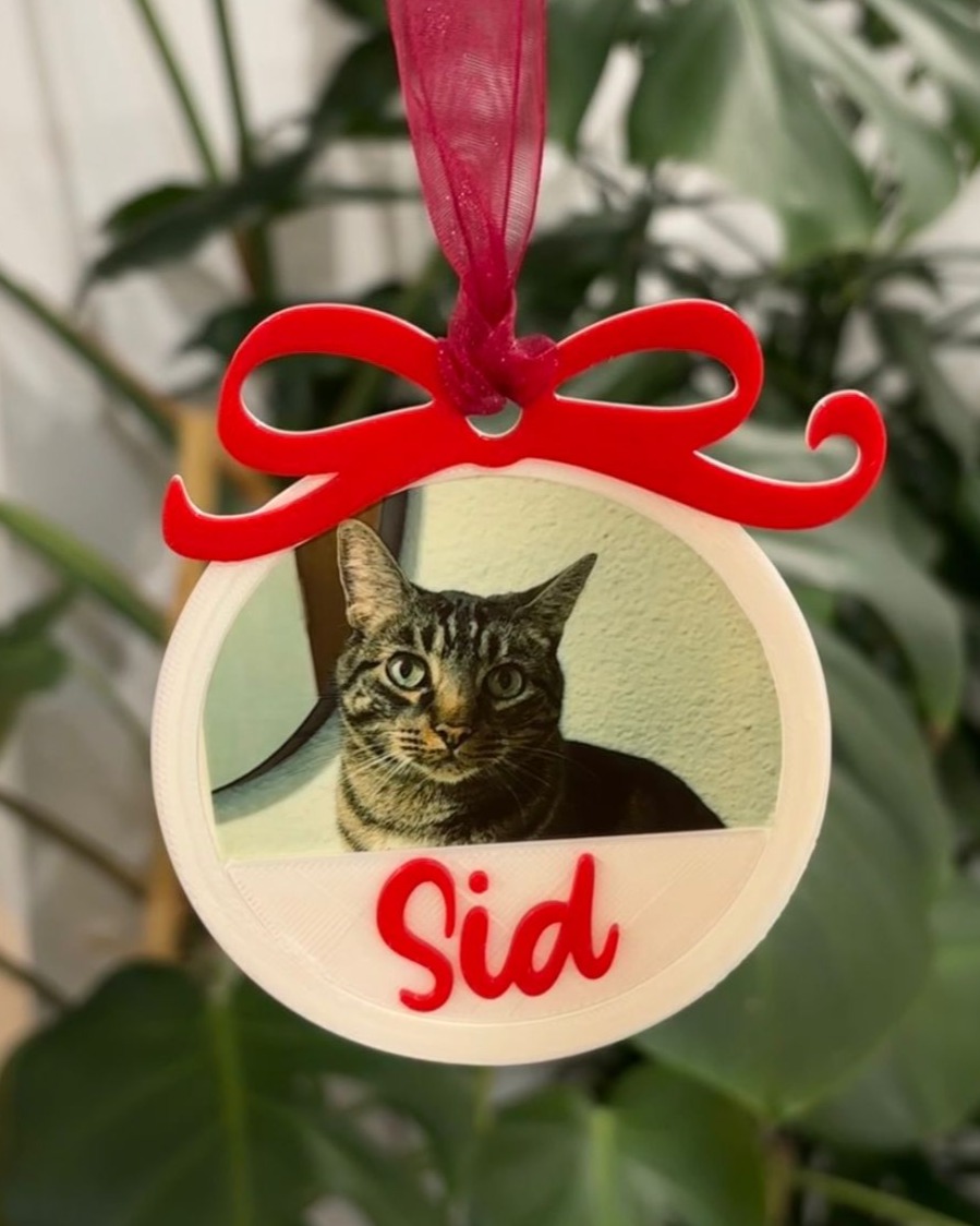 BOLA NAVIDAD CON FOTO-SID